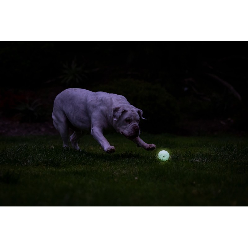 Chuckit! Air Glow Apport Ball M Chuckit! Air Glow Apport Ball M