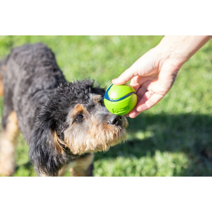 Sniff Fetch Ball Bacon Hundelegetøj Chuckit!