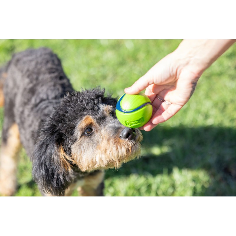 Chuckit! Sniff Fetch Ball Bacon Chuckit! Sniff Fetch Ball Bacon