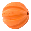 Dog Comets Swift Tuttle Orange Dog Comets Swift Tuttle Orange