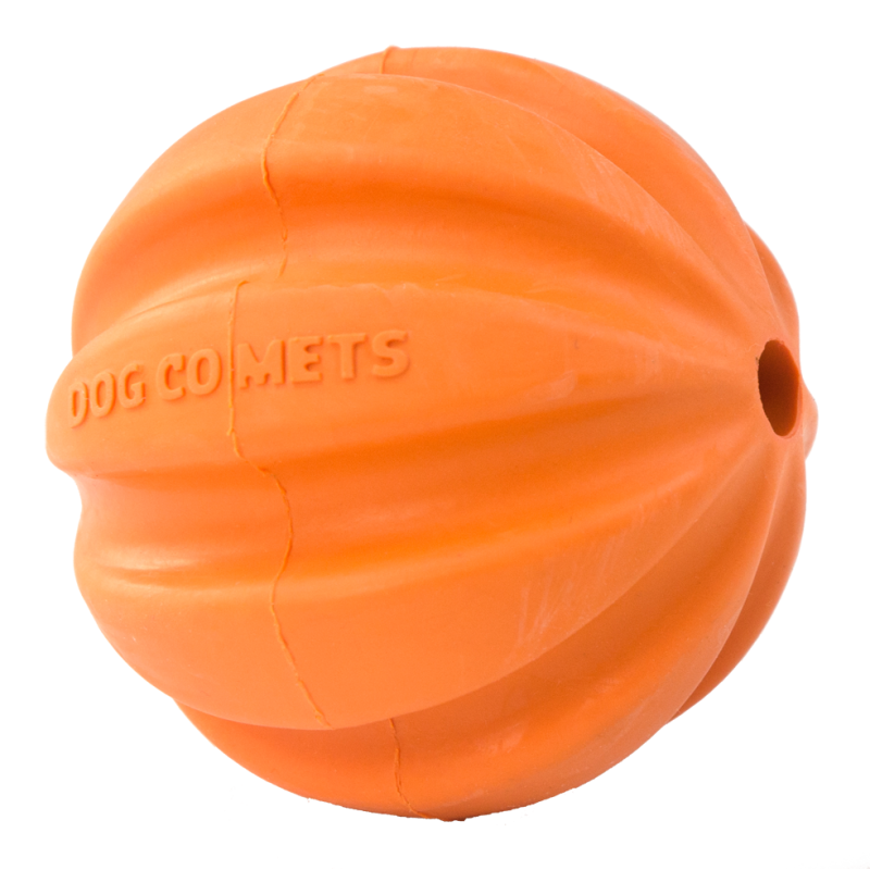 Dog Comets Swift Tuttle Orange Dog Comets Swift Tuttle Orange
