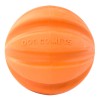 Swift Tuttle Orange Hundelegetøj Dog Comets