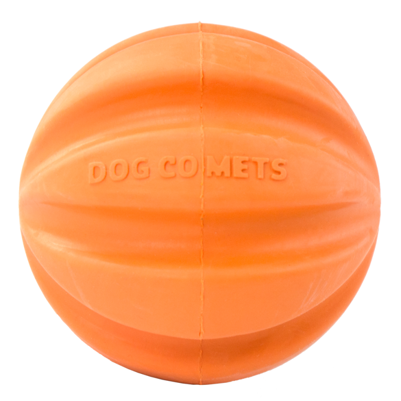 Dog Comets Swift Tuttle Orange Dog Comets Swift Tuttle Orange