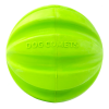 Dog Comets Hale Bopp Green Dog Comets Hale Bopp Green