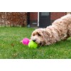 Dog Comets Exoplanet Spiky Ball S Pink Dog Comets Exoplanet Spiky Ball S Pink
