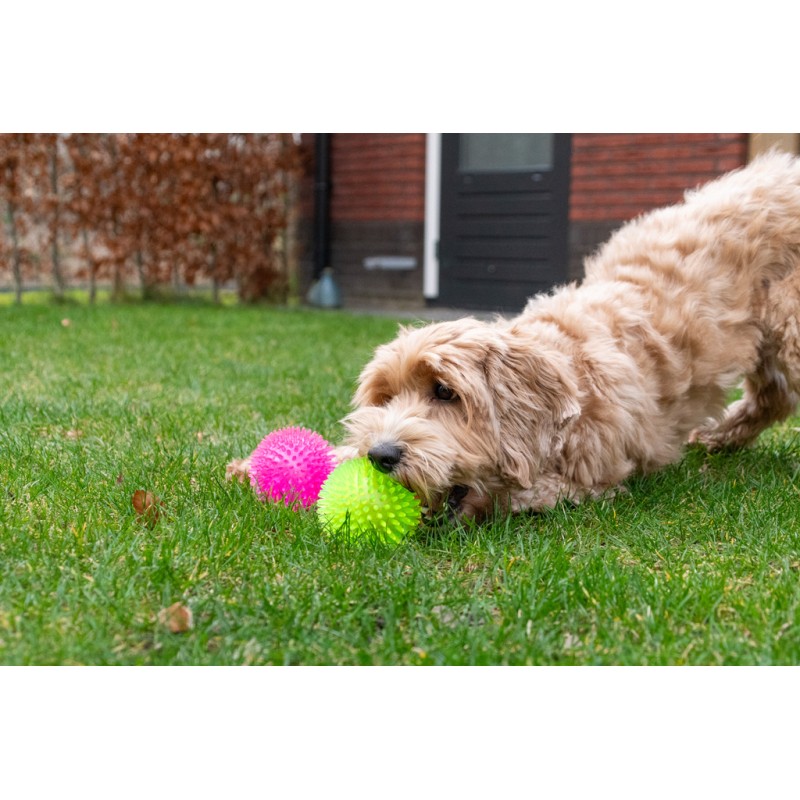 Dog Comets Exoplanet Spiky Ball S Pink Dog Comets Exoplanet Spiky Ball S Pink