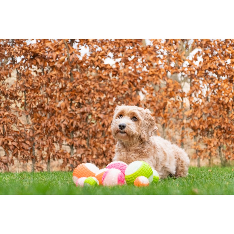 Dog Comets Lysende månekugle S lyserød Dog Comets Lysende månekugle S lyserød