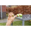 Dog Comets Lysende månekugle S lyserød Dog Comets Lysende månekugle S lyserød