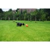 Dog Comets Pan-Stars Orange M Dog Comets Pan-Stars Orange M
