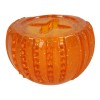 Godbidderbold Treat Locker Orange  Dog Comets