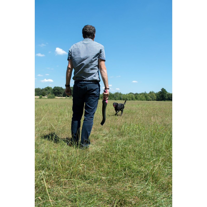 Apport Stjernekaster Pink Dog Comets