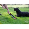 Apport Stjernekaster Pink Dog Comets Apport Stjernekaster Pink Dog Comets