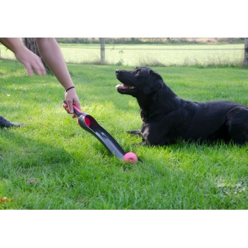 Apport Stjernekaster Pink Dog Comets Apport Stjernekaster Pink Dog Comets