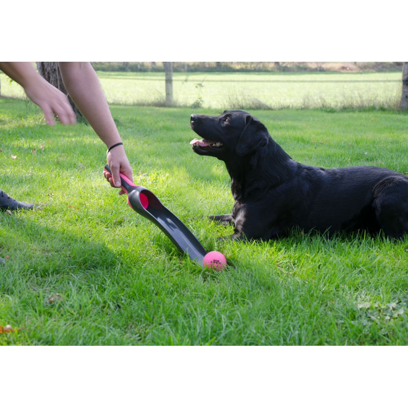 Dog Comets Stjernekaster Pink Dog Comets Stjernekaster Pink