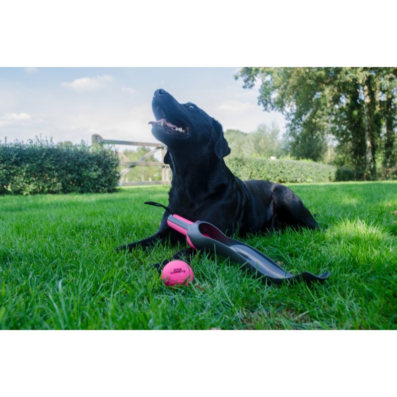 Apport Stjernekaster Pink Dog Comets Apport Stjernekaster Pink Dog Comets