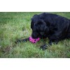 Dog Comets Månesten Godbidsterning Pink Dog Comets Månesten Godbidsterning Pink