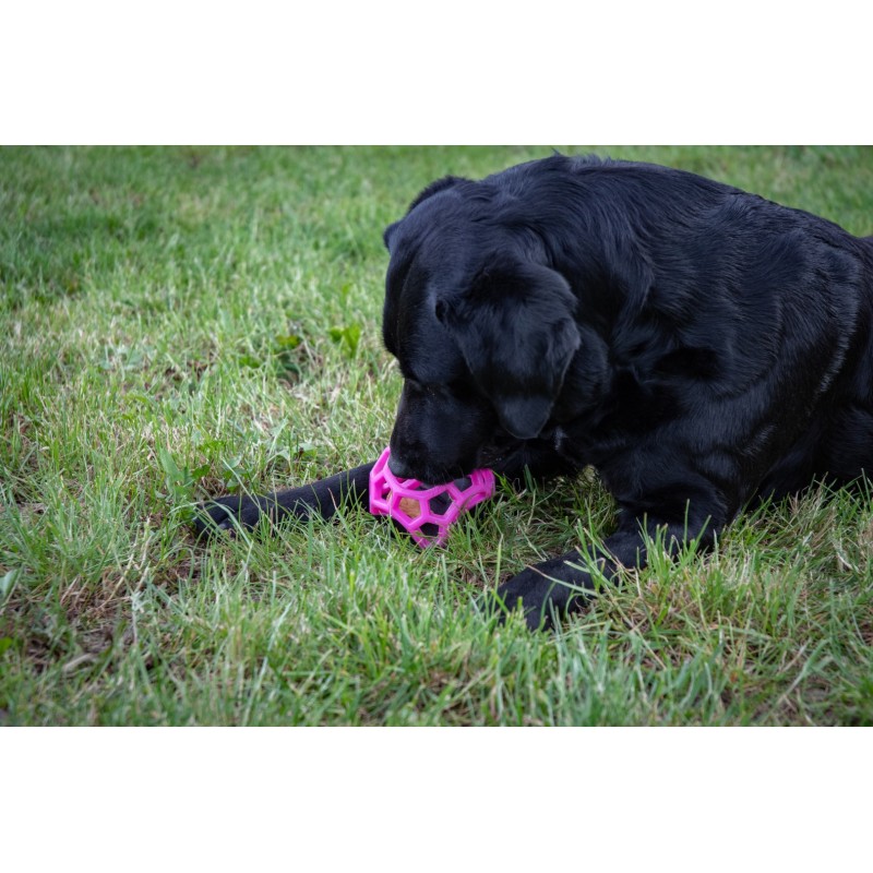 Dog Comets Månesten Godbidsterning Pink Dog Comets Månesten Godbidsterning Pink