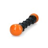 Meteor kastestok Orange S Dog Comets