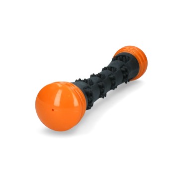 Meteor kastestok Orange L Dog Comets Meteor kastestok Orange L Dog Comets