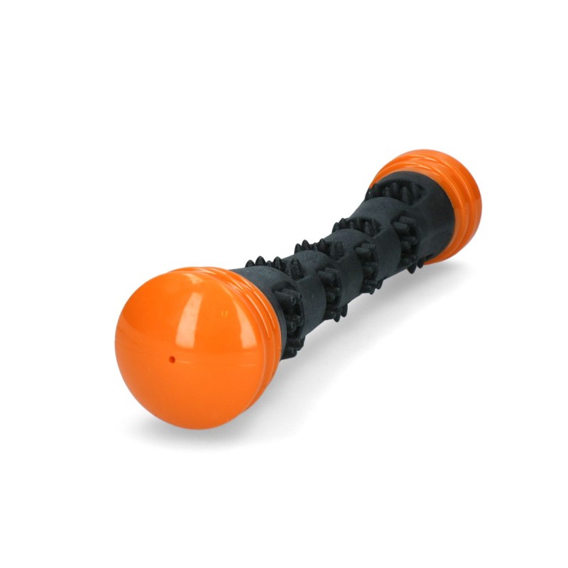 Meteor kastestok Orange L Dog Comets Meteor kastestok Orange L Dog Comets