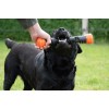 Dog Comets Meteor kastestok Orange L Dog Comets Meteor kastestok Orange L
