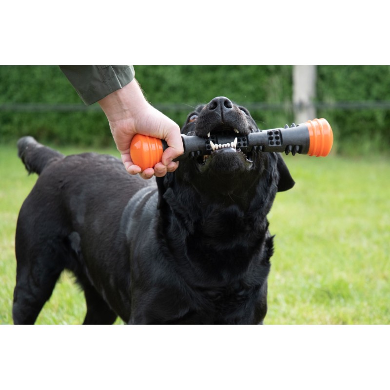 Dog Comets Meteor kastestok Orange L Dog Comets Meteor kastestok Orange L