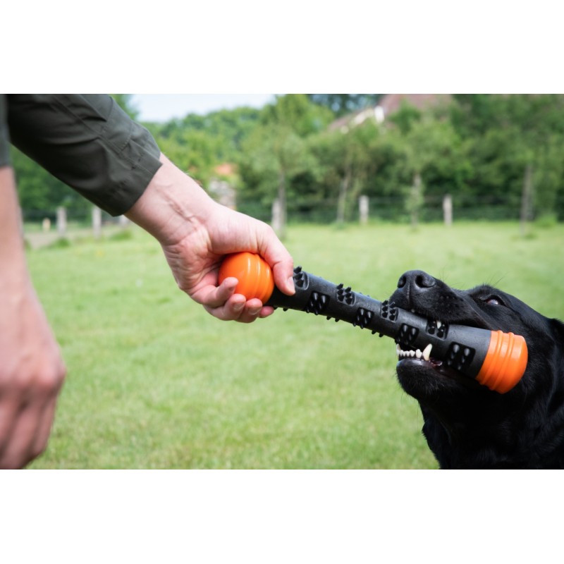 Dog Comets Meteor kastestok Orange L Dog Comets Meteor kastestok Orange L