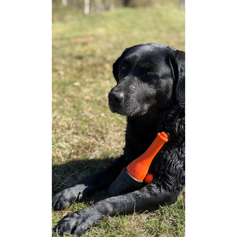 Apportlegetøj Bobber Pink Dog Comets