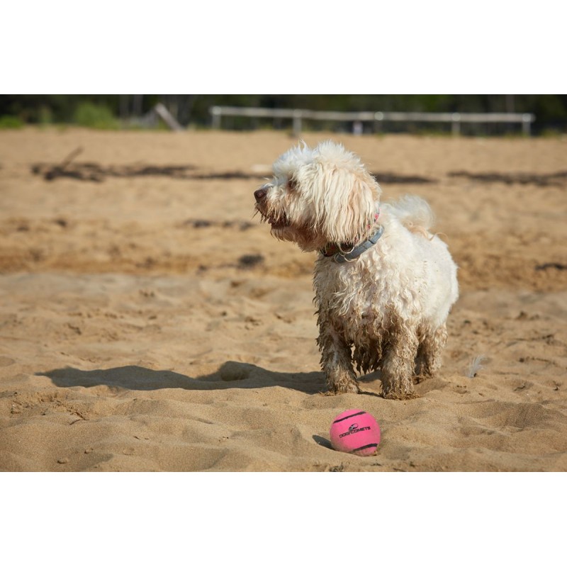 Neutron Star Tennisbold Med Pibe M Pink  Dog Comets