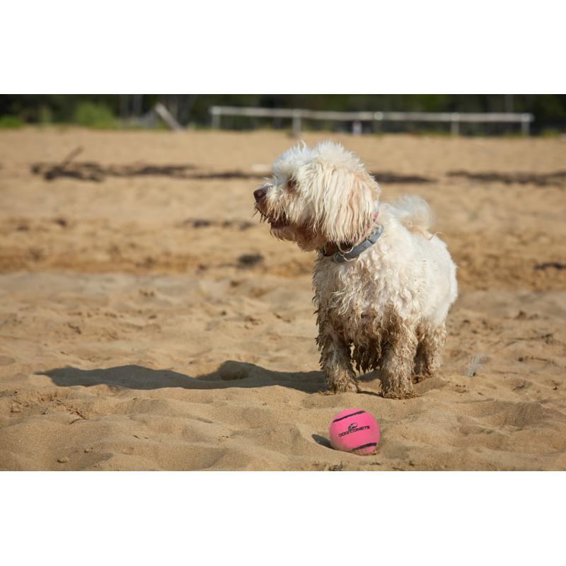 Dog Comets Neutron Star Tennisbold Med Pibe M Pink Dog Comets Neutron Star Tennisbold Med Pibe M Pink