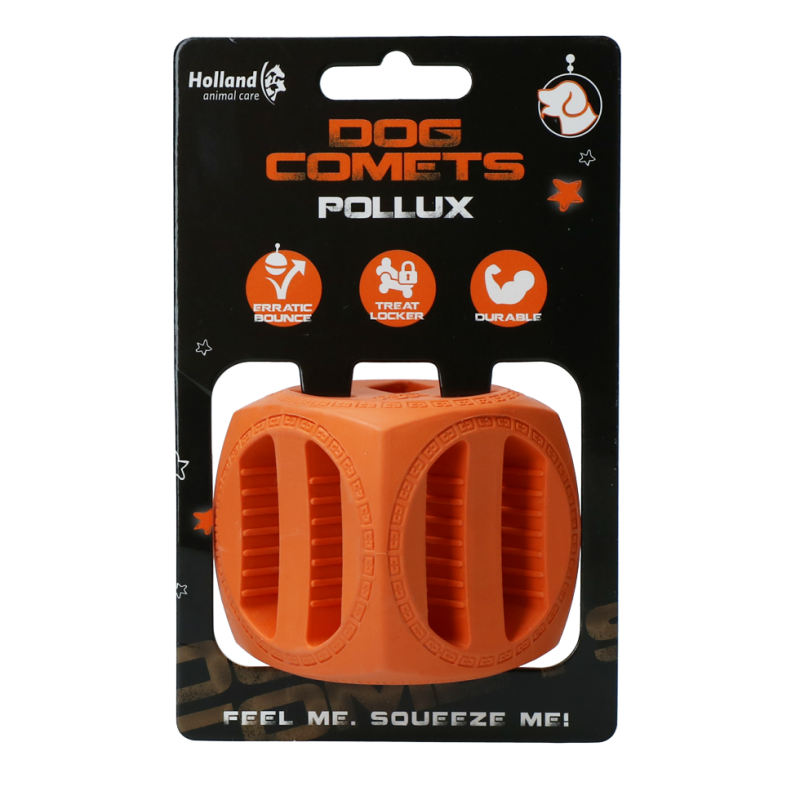 Dog Comets Pollux Orange Dog Comets Pollux Orange