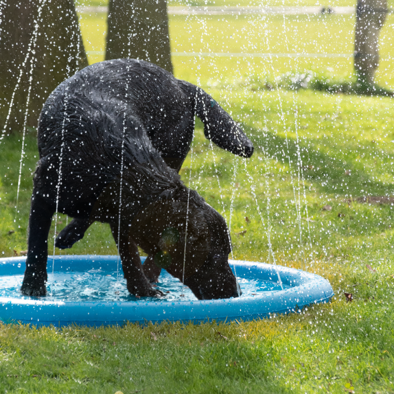 CoolPets Splash Pool Vandsprinkler CoolPets Splash Pool Vandsprinkler