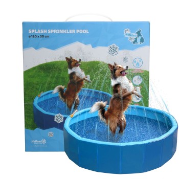 Splash sprinklerpool  Coolpets