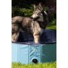 CoolPets Splash Hundepool ø 80 x 20 cm CoolPets Splash Hundepool ø 80 x 20 cm