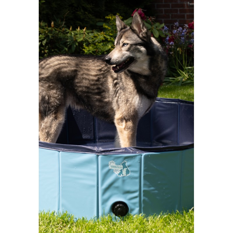 CoolPets Splash Hundepool ø 80 x 20 cm CoolPets Splash Hundepool ø 80 x 20 cm