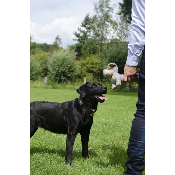 Hundebamse  Original Ven Country Dog