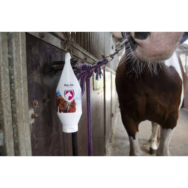 Dyb iskølende gel 250 ml  Excellent Horse