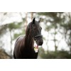 Dyb iskølende gel 250 ml  Excellent Horse