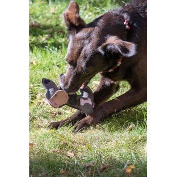 Æsel brun Æsel Lysegrå Doggy Doodles Æsel brun Æsel Lysegrå Doggy Doodles