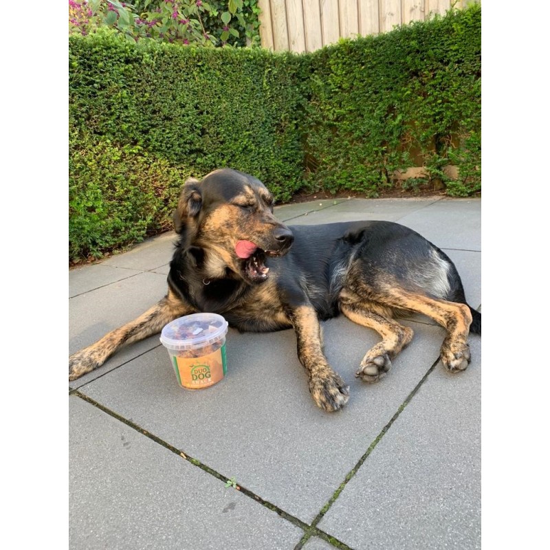Duo Hundesnacks Duo Hundesnacks