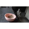Eat Slow Live Longer Slikkemåtte Wobble Bowl Pink Eat Slow Live Longer Slikkemåtte Wobble Bowl Pink