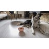 Eat Slow Live Longer Slikkemåtte Wobble Bowl Pink Eat Slow Live Longer Slikkemåtte Wobble Bowl Pink
