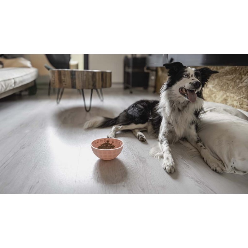 Eat Slow Live Longer Slikkemåtte Wobble Bowl Pink Eat Slow Live Longer Slikkemåtte Wobble Bowl Pink