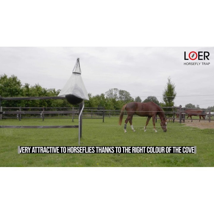 Klæg fælde bold Loer