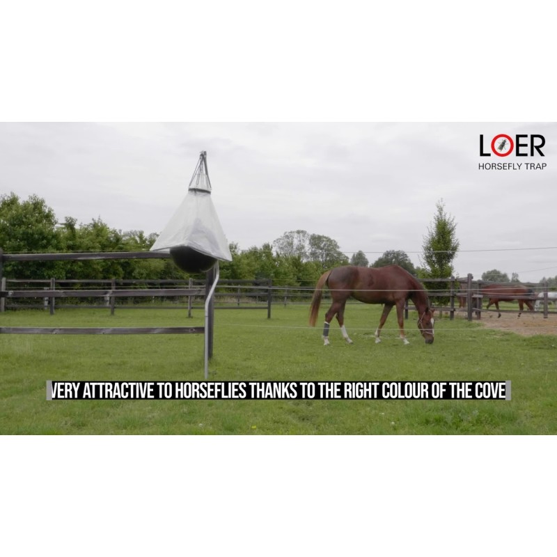 Loer Klæg fælde bold Loer Klæg fælde bold