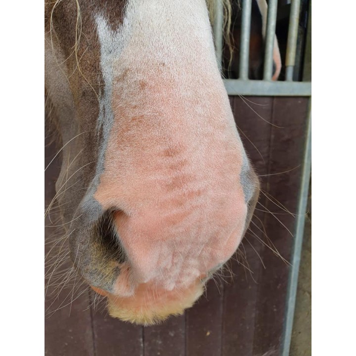 Hest Sunblock Cream SPF 30 150 g Excellent Horse