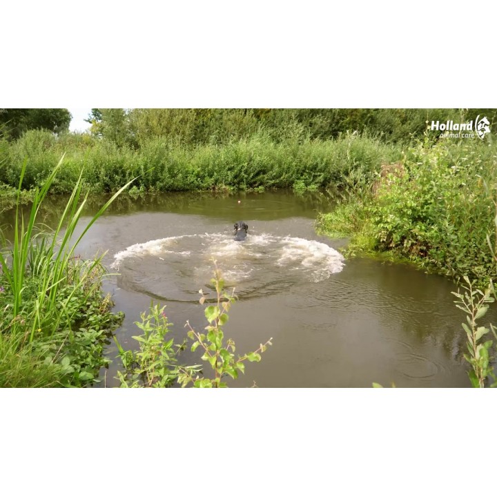 Stjernestøv Orange S Hundelegetøj Dog Comets