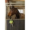 Excellent Horse Foodie Friends Apple Excellent Horse Foodie Friends Apple