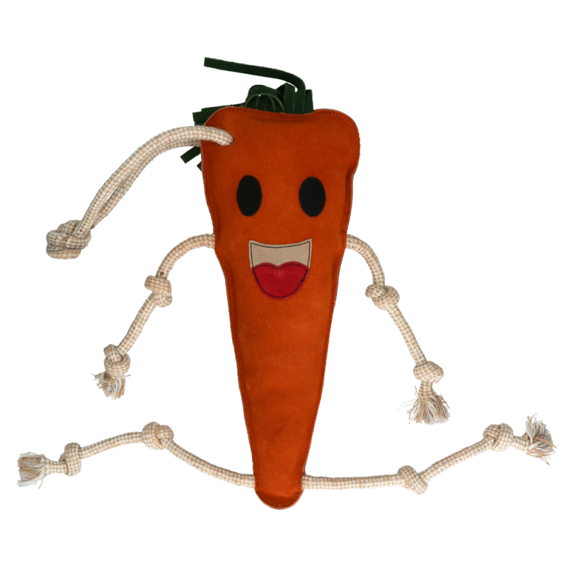 Excellent Horse Foodie Friends Carrot Excellent Horse Foodie Friends Carrot