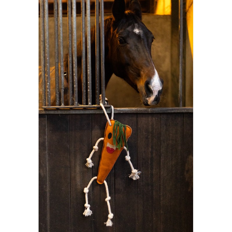 Excellent Horse Foodie Friends Carrot Excellent Horse Foodie Friends Carrot